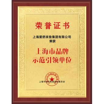 示范引领单位