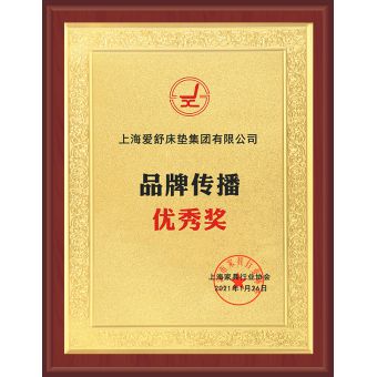 品牌传播优秀奖