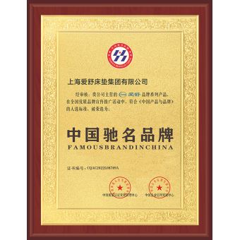 中国驰名品牌