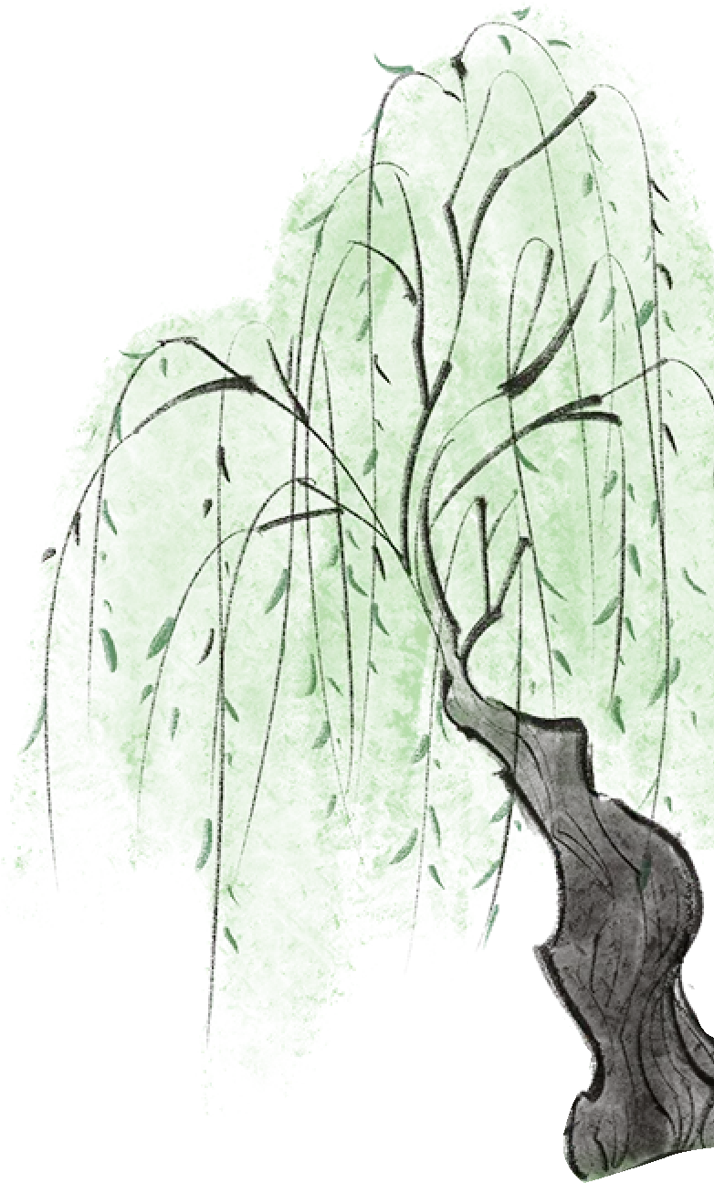 二十四节气 • 清明｜清明思故人，好眠伴朝夕-爱舒床垫 - 来自上海的精致睡眠