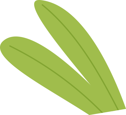 爱舒床垫 ×《温暖的客栈》开启2026治愈系夏天-爱舒床垫 - 来自上海的精致睡眠