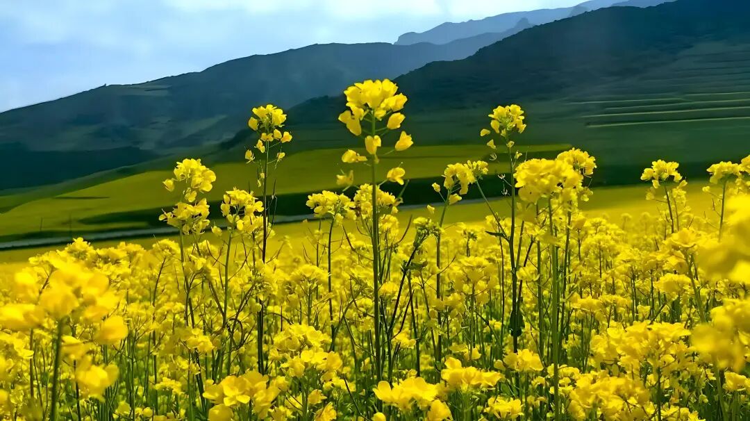 爱舒床垫 ×《温暖的客栈》开启2026治愈系夏天-爱舒床垫 - 来自上海的精致睡眠