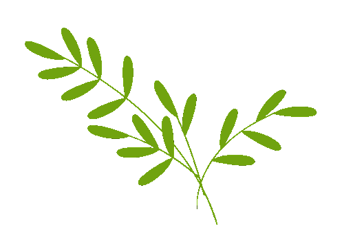 爱舒智能床垫——风栖境亮相《温暖的客栈》，解锁科技睡眠新体验-爱舒床垫 - 来自上海的精致睡眠