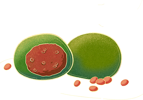 二十四节气 • 清明｜清明思故人，好眠伴朝夕-爱舒床垫 - 来自上海的精致睡眠