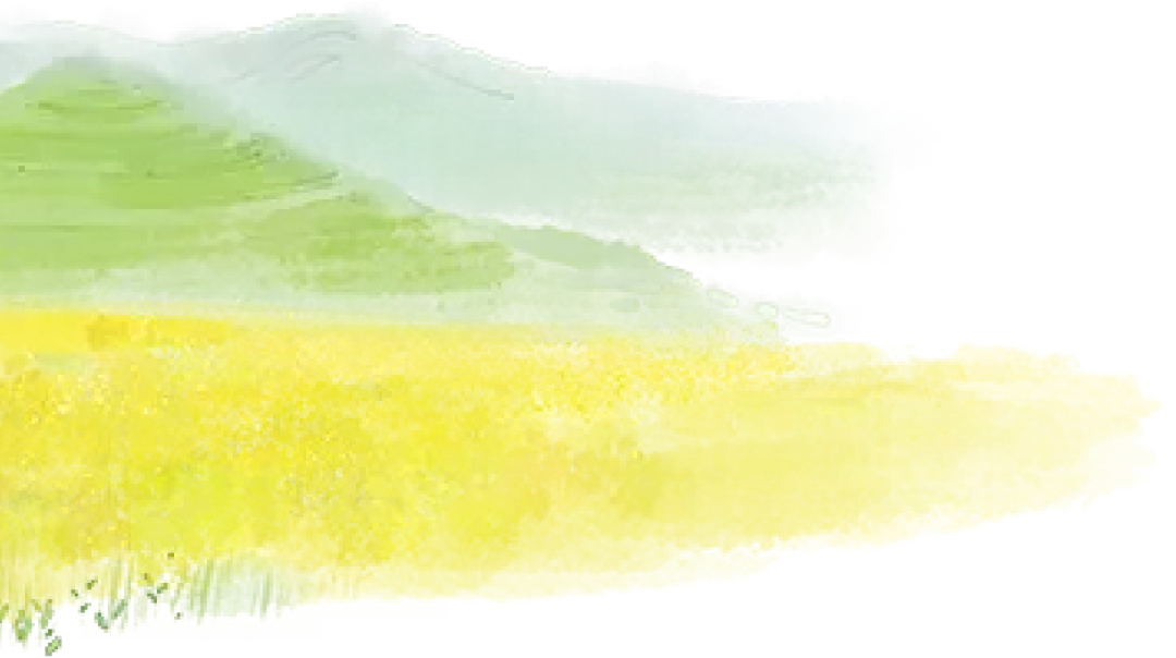 二十四节气 • 清明｜清明思故人，好眠伴朝夕-爱舒床垫 - 来自上海的精致睡眠