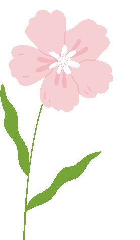 爱舒智能床垫——风栖境亮相《温暖的客栈》，解锁科技睡眠新体验-爱舒床垫 - 来自上海的精致睡眠