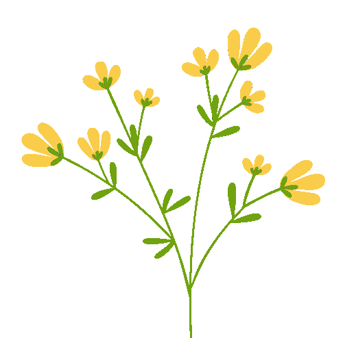 爱舒智能床垫——风栖境亮相《温暖的客栈》，解锁科技睡眠新体验-爱舒床垫 - 来自上海的精致睡眠