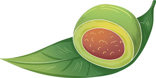 二十四节气 • 清明｜清明思故人，好眠伴朝夕-爱舒床垫 - 来自上海的精致睡眠