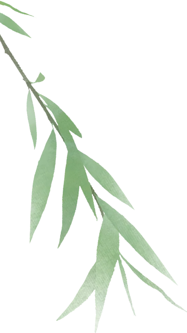 二十四节气 • 清明｜清明思故人，好眠伴朝夕-爱舒床垫 - 来自上海的精致睡眠