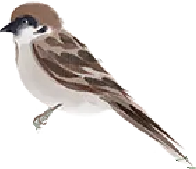 二十四节气 • 清明｜清明思故人，好眠伴朝夕-爱舒床垫 - 来自上海的精致睡眠